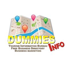 Dummies Info