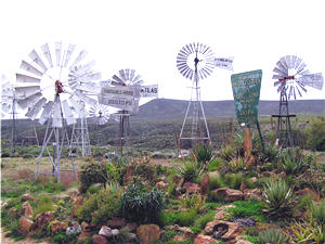 Dummies Info - Loeriesfontein Tourism Information Bureau and Business Directory. Accommodation, Leisure Activities, Businesses. Cheap advertising and Internet Marketing.