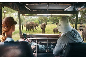 Tour Operator