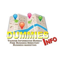 Dummies Info